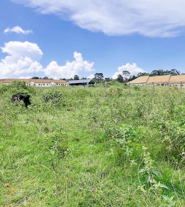 WhatsApp Image 2025-04-15 at 12.11.59 1.jpg